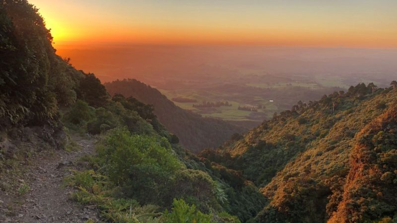 New Zealand Accounting, Bookkeeping & Property Business Consultancy Services | Wellington & Lower Hutt Xero Property Accountants
