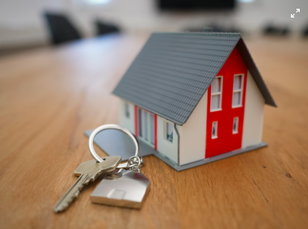 Wellington Accountants Wellington Bookkeepers Property Accountants Business Bookkeepers Hospitality Accountants Hospitality Bookkeepers Contractor Accountants Contractor Bookkeepers