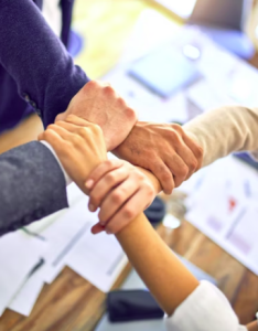 New Zealand Accounting, Bookkeeping & Property Business Consultancy Services | Wellington & Lower Hutt Xero Property Accountants Business coach business consultation business adviser