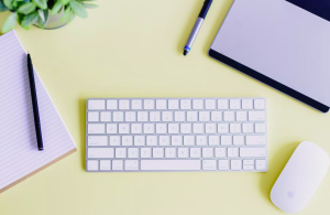 New Zealand Accounting, Bookkeeping & Property Business Consultancy Services | Wellington & Lower Hutt Xero Property Accountants Business coach business consultation business adviser